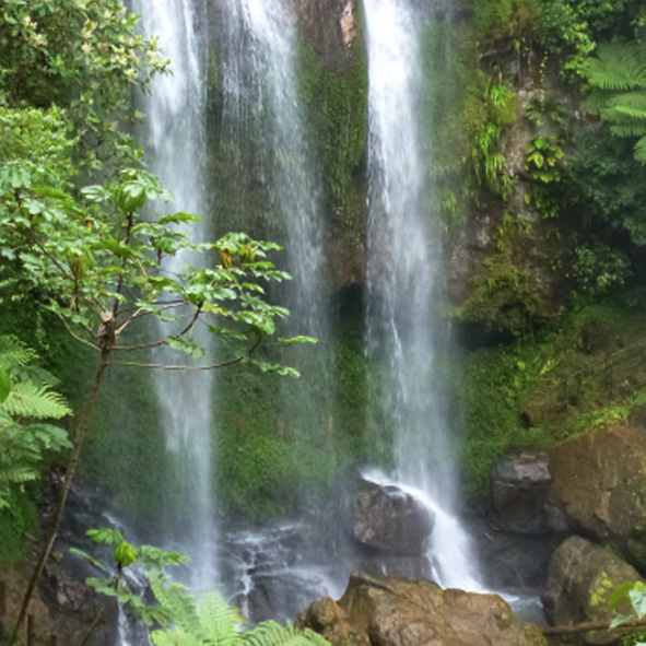 Cascada Corazon del Bosque